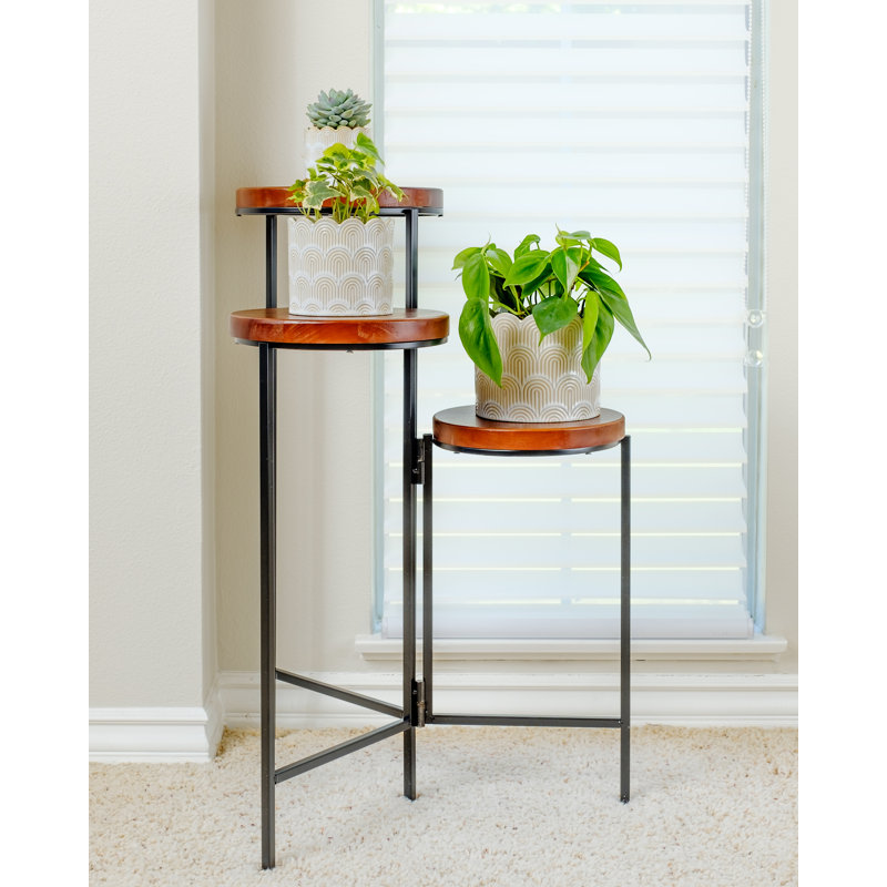 Medellin Wood Weather Resistant Plant Stand, Brown/Black