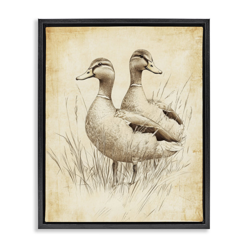Paire de canards flottants rétro, design par Petal Prints Design, H 31 po x l 25 po, Cadre flottant noir de jais