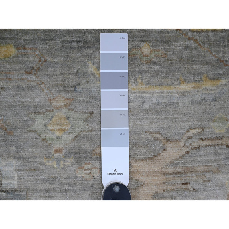 8'x10' Grey Peshawar Heris All Over Design Hand Knotted Wool Rug Oriental 6055AB5091C44262B698B6C1231D9AC0