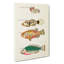 East Indies Fish Illustrations Fol. 11 by Louis Renard - Wrapped Canvas-55342445