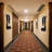14.4'' H Metal Wall Wall Sconce