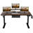Lasherrie Height Adjustable Standing Desk With A Layer-1091905006-1096530015