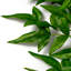 Faux Tender Plant