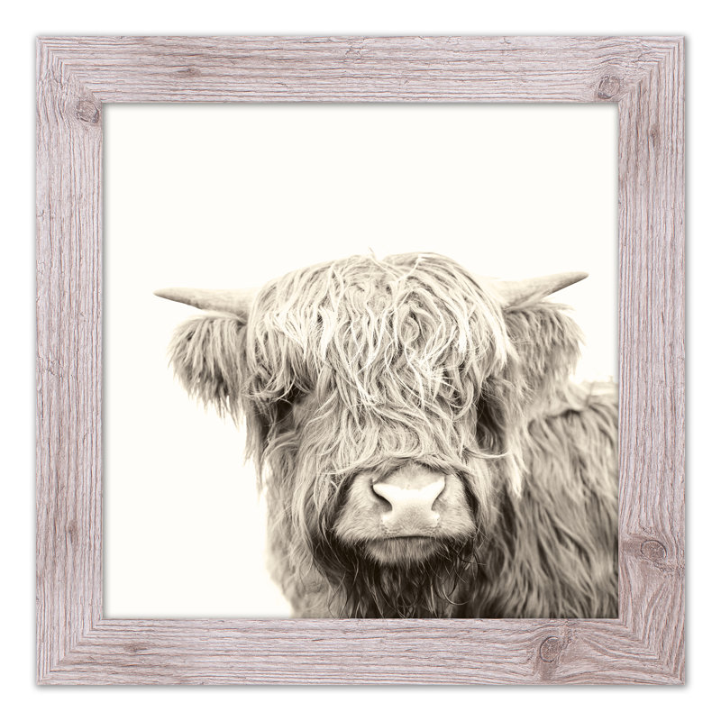 Shaggy Bangs Highland Cow - peinture encadrée, Papier avec cadre blanc