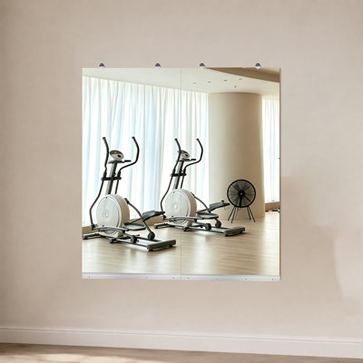 Wall Mounted Gym Mirror
