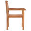 Fauteuil de patio en teck Catriona