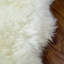 Tapis à poils longs ivoire Burgett-2114017985