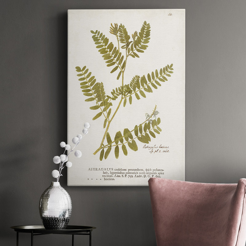 «Nature Printed Ferns V», impression sur toile sans cadre, H 60 po x l 40 po x P 1 po