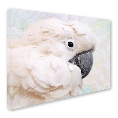 «Umbrella Cockatoo Portrait», reproduction d'impression sur toile tendue Vidur