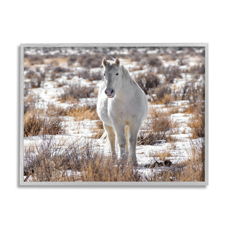Hiver, neige, cheval, art giclé par Jeff Poe, H 11 po x l 14 po x P 1,5 po, Estampe numérique Farmhouse