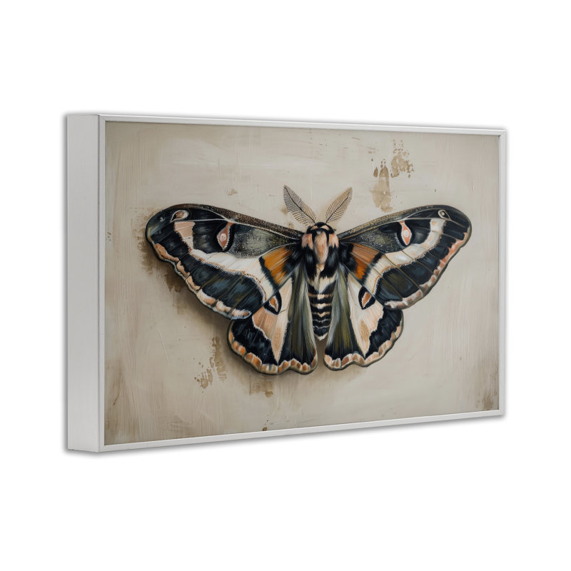 Art de giclée sur papillon foncé par Petal Prints Design, Estampe numérique encadrée blanc bord de mer, H 16 po x l 24 po