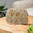 Pet Devotion Memorial Garden Stepping Stone