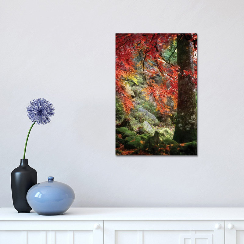 Rock Garden by Philippe Sainte-Laudy - Print on Canvas, 30.48 cm H x 45.72 cm W, Wrapped Canvas