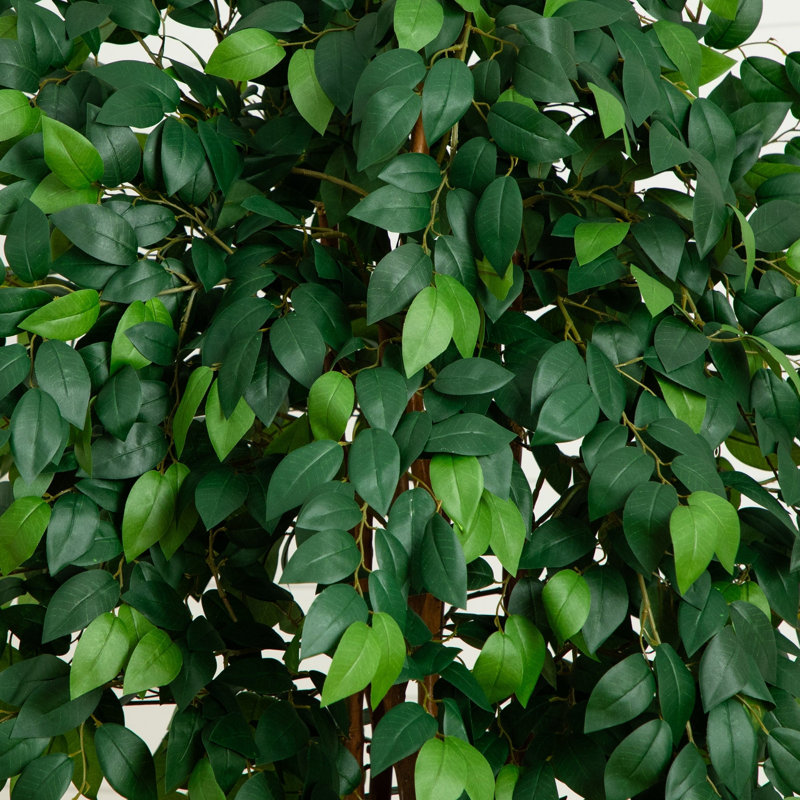 Sakaki Artificial Tree