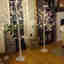 Photos des clients 2 de 2