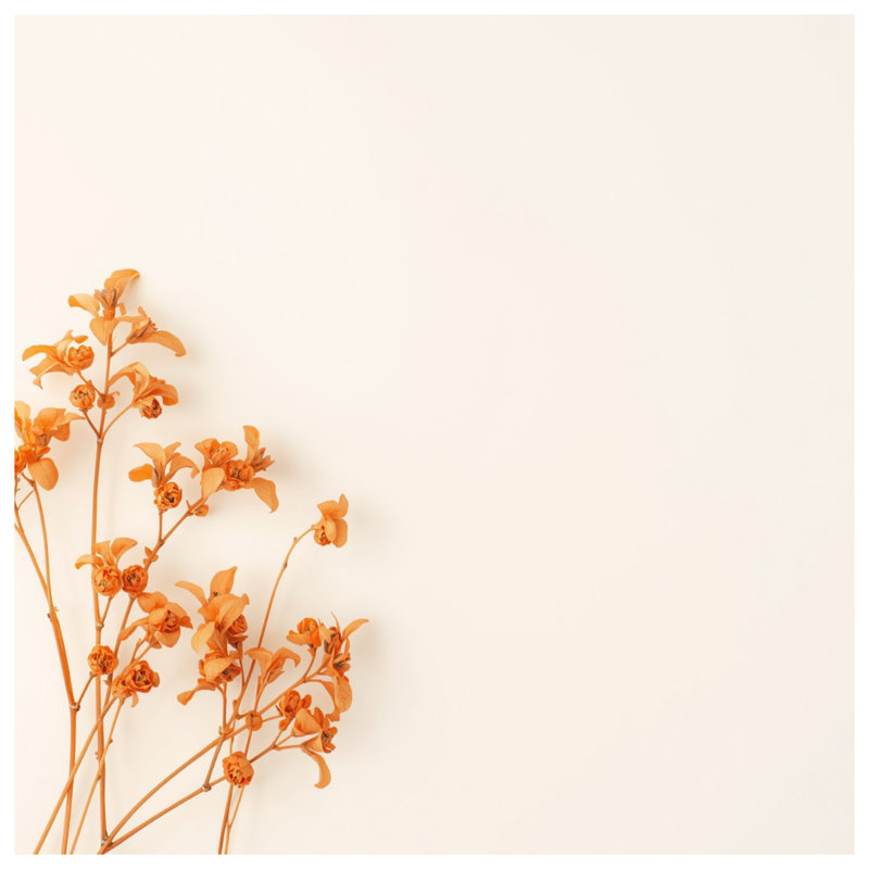Housses de couette fleurs séchées orange, Grand lit
