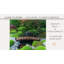 Pont de jardin artisanal en bois japonais-14662215