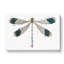 Blue-tipped Dragonfly by George Shaw - Wrapped Canvas Painting-55361784