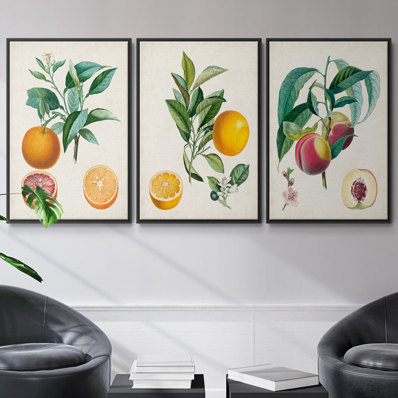 Orange de Malte, ensemble de 3 toiles encadrées sur toile, H 27 po x l 54 po, Noir