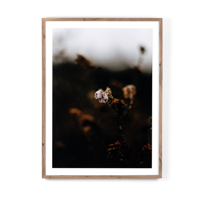 Escape II Print by Annie Spratt