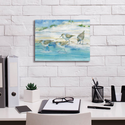 Sandy Sandpipers II' by Paul Brent, Canvas Wall Art