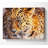 Leopard Close Up - Wrapped Canvas Print-636616366