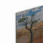 «Utah Bryce Canyon Tree» par AKG-139804017