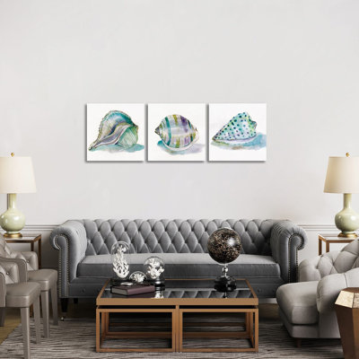 Malecon Shell Triptych - Canvas Wall Art Set - Wrapped Canvas (Set of 3)