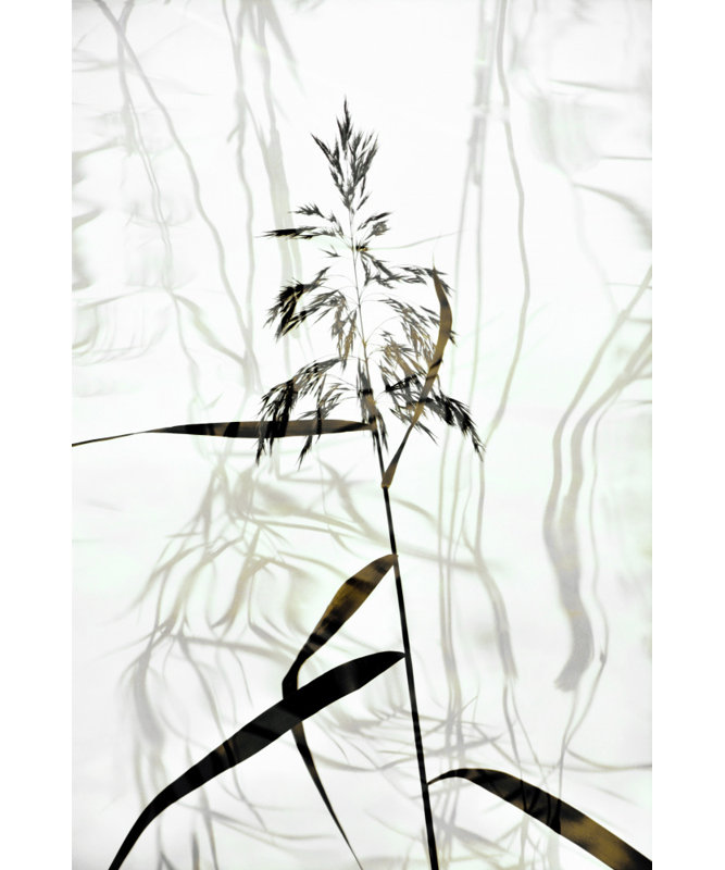 Wrapped Canvas Print, 76.2 cm H x 50.8 cm W