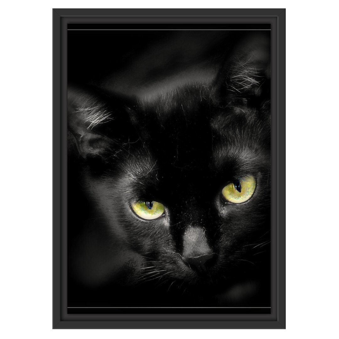 Gerahmtes Wandbild schöne schwarze Katze