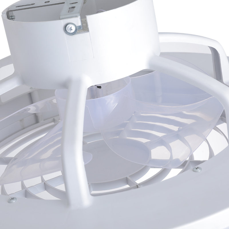 Coleon Ceiling Fan with LED Lights