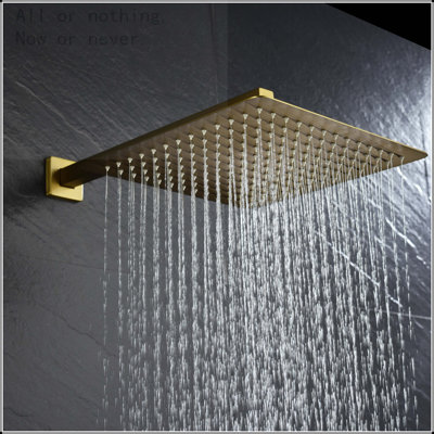 Pomme de douche murale 12 po