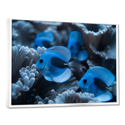 Blue And Grey Oceanic Oasis Fish I - Aquariums Wall Decor