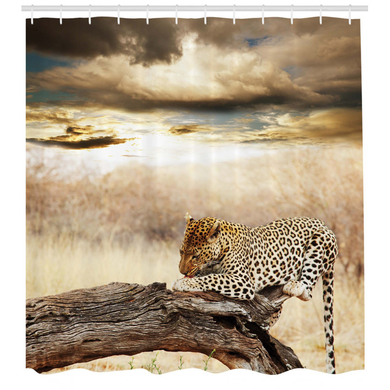 Shower Curtain with Hooks Included, 70" H x 69" W