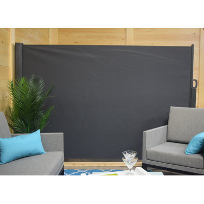 Auvent latéral rétractable l 118 po x P 4 po gris anthracite