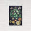 Métal de luxe «Citrus» par Vintage Posters, métal «Citrus» par Vintage Posters-1697667385
