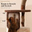Arbre à chat en bois massif d'inspiration du milieu du siècle pour grands chats, gain de place pour les appartements, 101,6 cm de hauteur-557510882