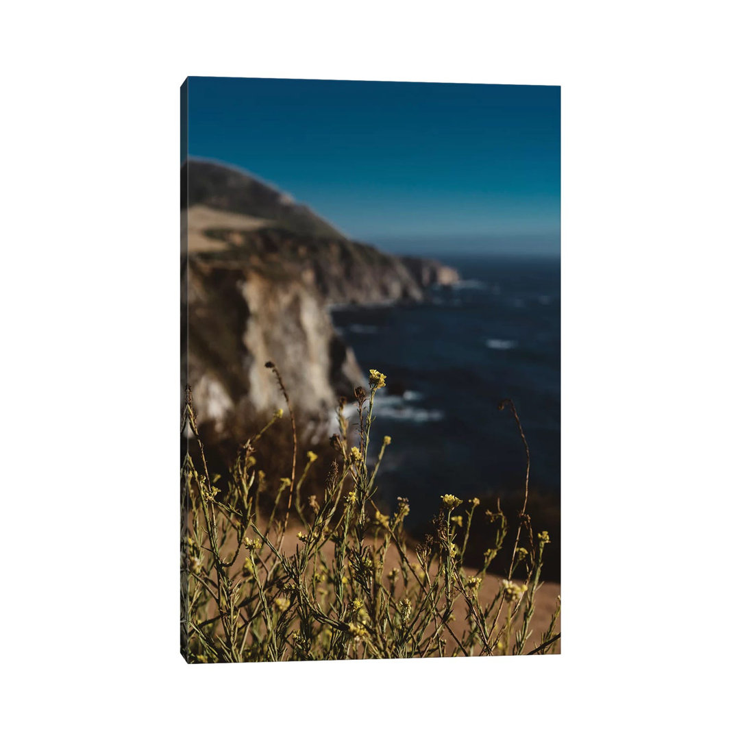 Big Sur Wild Flowers II by Bethany Young - Photograph on Canvas