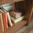 Polkton 18.27 " W Nightstand-591352470