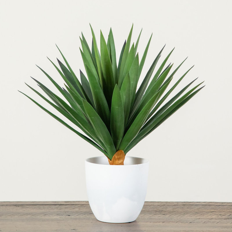 Agave artificielle résistante aux rayons UV dans un pot à fleurs blanc (intérieur / extérieur), 17 po