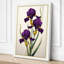 Three Purple Irises Botanical - Wrapped Canvas-593549741-593549743