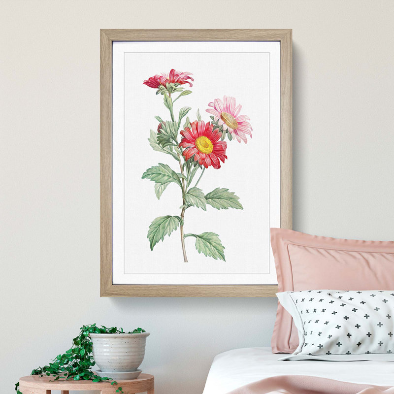 Red Aster Flowers by Pierre-Joseph Redoute - Picture Frame Painting Print, 36cm H x 27cm W x 2cm D, Oak Framed