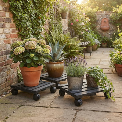 Plant Stand