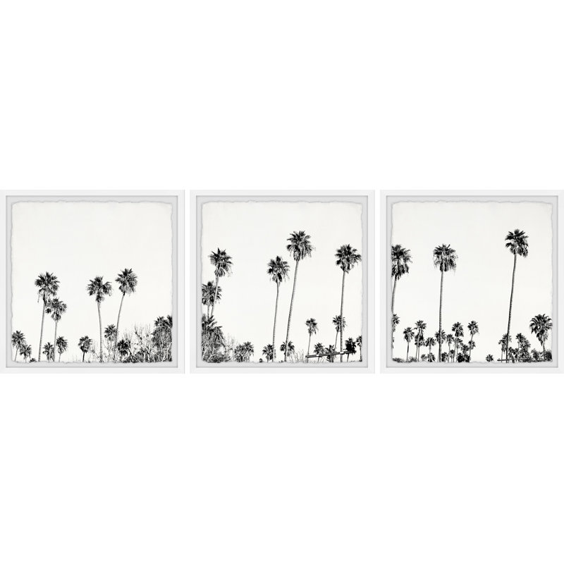 B&W Coco Tree Farm par Marmont Hill - ensemble de 3 photos encadrées, H 12 po x l 12 po x P 1,5 po