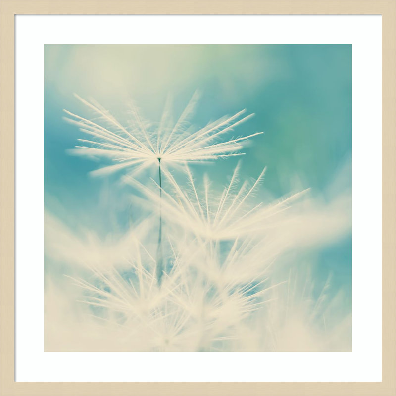 «Fluff» par Ingrid Beddoes, impression sur bois encadrée, H 25 po x l 25 po