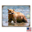 Bloc de bois ours Schlegel-1665569438