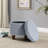 Ashlley Upholstered Storage Ottoman-1809297522