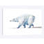 « polar bear », reproduction sur toile-32900275-72222235-72222234