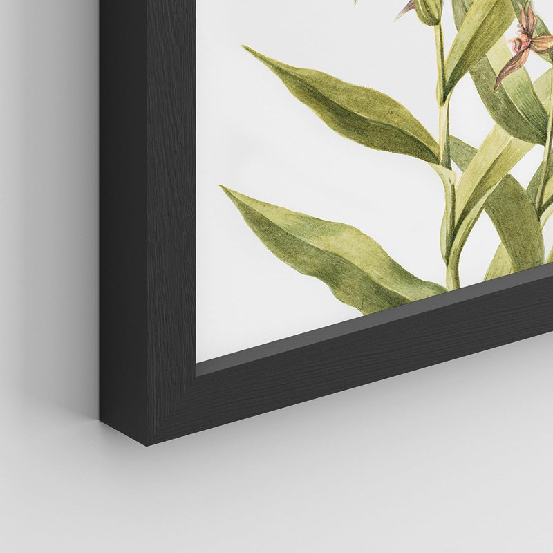 «Forest Wildflowers», reproduction encadrée de 4 pièces, Cadre noir, H 14 po x l 11 po x P 1 po
