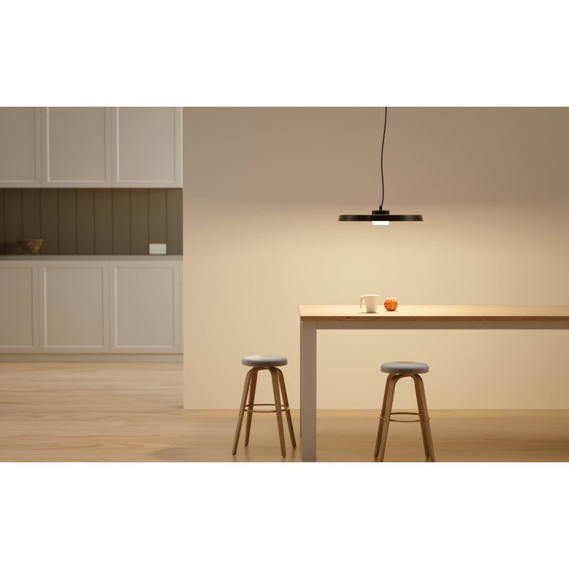 Luminaire suspendu cylindrique à 1 lumière DEL